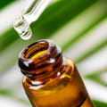 Tea Tree Oil: Benefits, Uses, and How to Apply